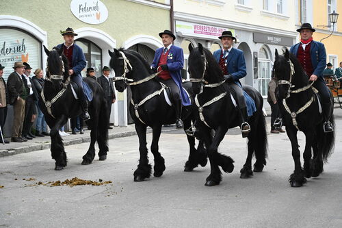 Aufstellung der Gruppen und Reiter Foto 01
