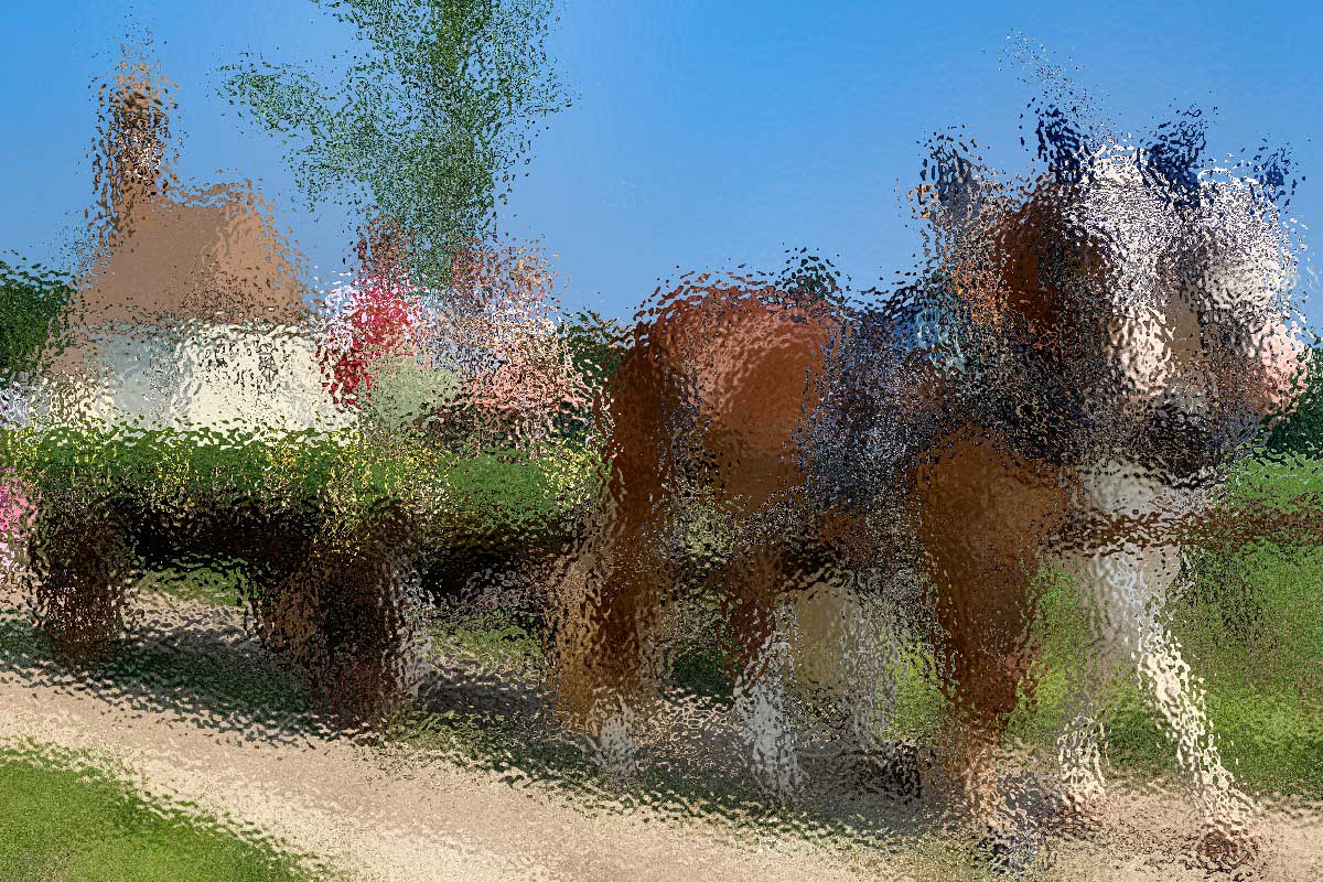 Leonhardiritt in Holzhausen